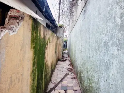 Alberto Einstein 800