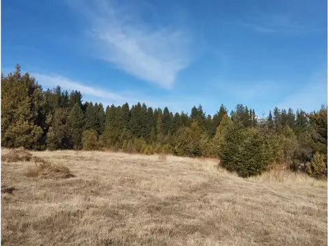 (040) TERRENO en Mallin Alto de 1/2 Hectárea