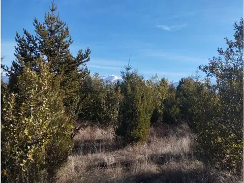 Terreno en Venta de 5000,0 m2