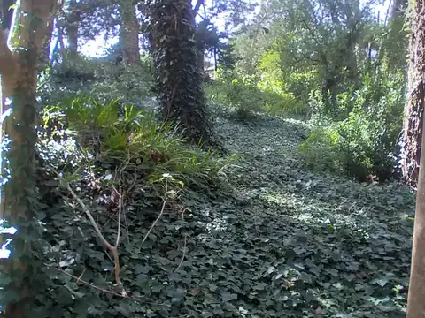 304 e/ alamedas 206 y 207