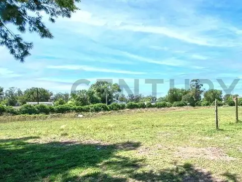 Galpon en Alquiler A Estrenar