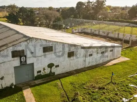 alberti 8000, Piso 0