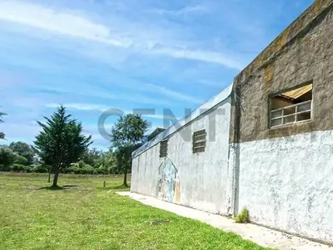 ALQUILER GALPON MAR DEL PLATA