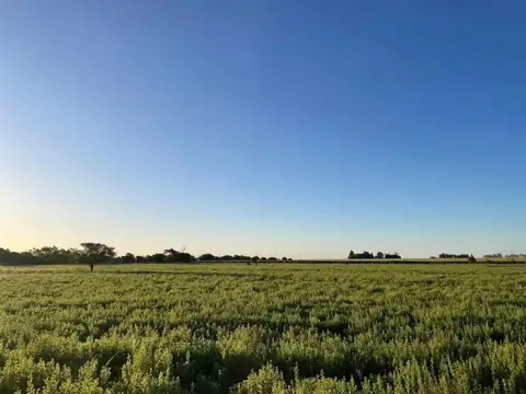 Terreno en venta - 10.000Mts2 - San Antonio de Areco