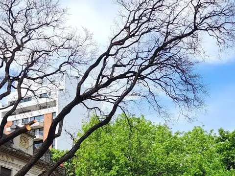 Terreno en Venta 35  mts Fondo