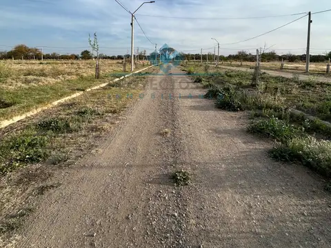 VENTA-LOTE EN LOS ALGARROBOS-SINSACATE