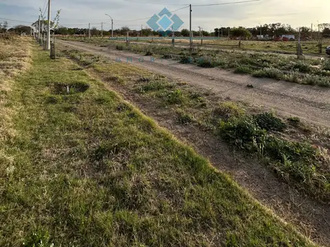 VENTA-LOTE EN LOS ALGARROBOS-SINSACATE