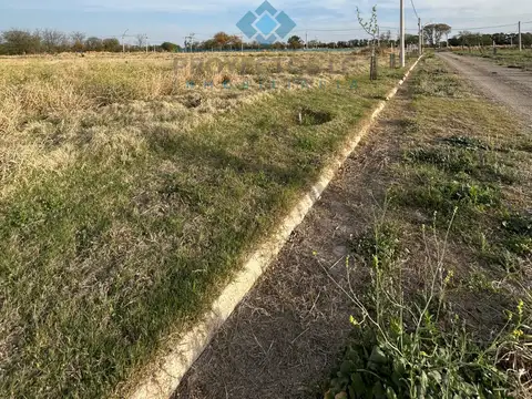 VENTA-LOTE EN LOS ALGARROBOS-SINSACATE