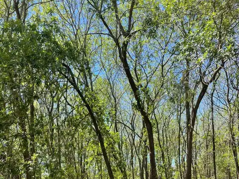 Venta de Lote/Terreno en Baradero