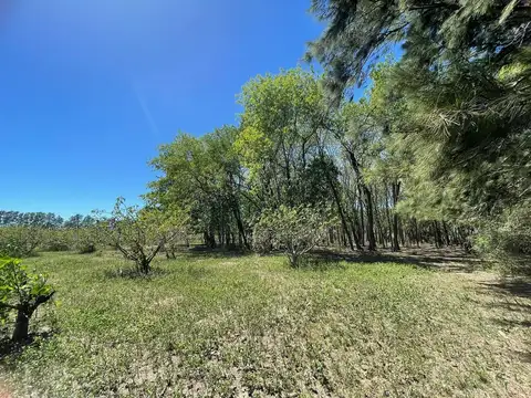 Terreno en Venta de 42959,0 m2