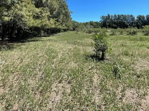 Terreno en Venta en Baradero, USD 85.000