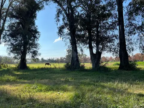 Terreno en  Venta en General Rodriguez 10 hectareas
