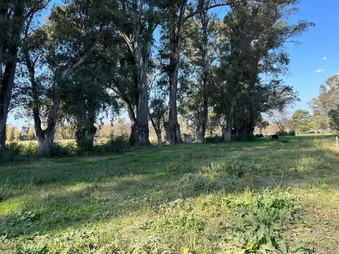 en VENTA, terreno de 10 ha