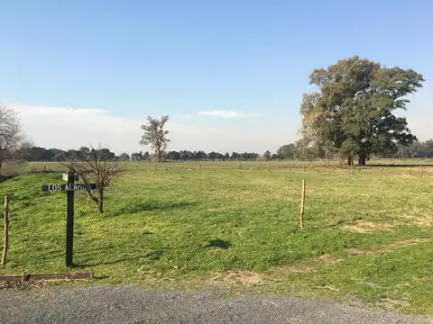 Terreno en  Venta en General Rodriguez 10 hectareas