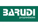 BARUDI propiedades