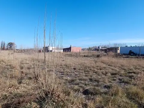 Terreno en Venta de 559,0 m2