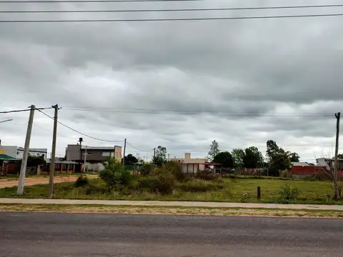 Av. Francisco Fiorotto y Ceibas