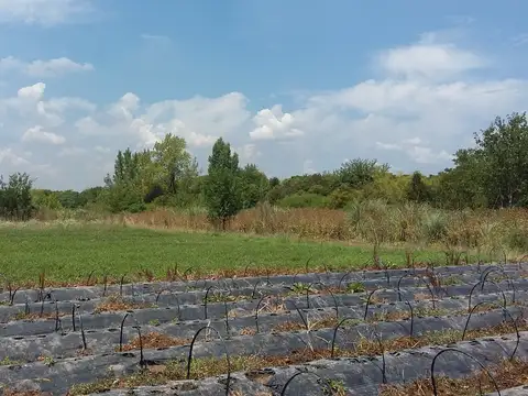 Campo en Venta de 25  ha