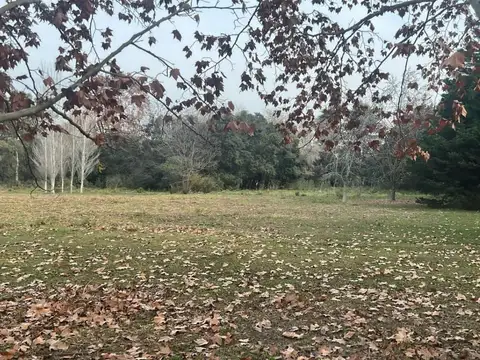 Terreno en Venta de 1500,0 m2