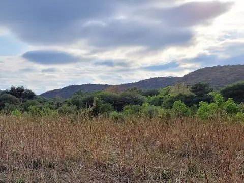 Terreno en Venta de 10000,0 m2