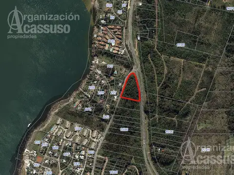 Ruta panorámica Punta Ballena