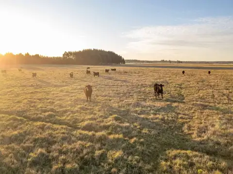 Terreno en Venta en Salinas, USD 230.000