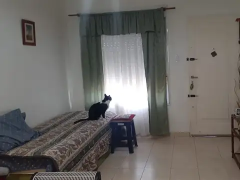 Argentina 1000, Piso pb