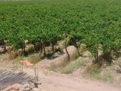 Ruta 50  Metros Acceso Este