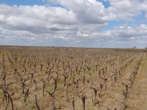 Ruta 50  Metros Acceso Este