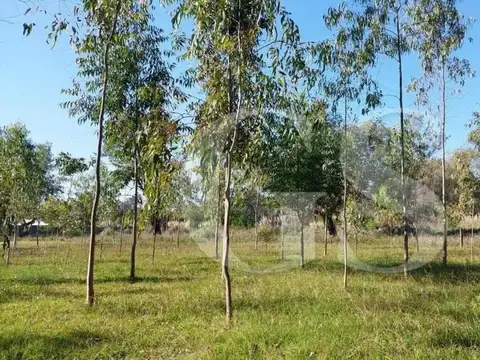 Terreno en Venta de 25000,0 m2