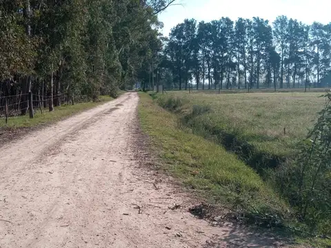 Terreno en Venta 25  mts Frente