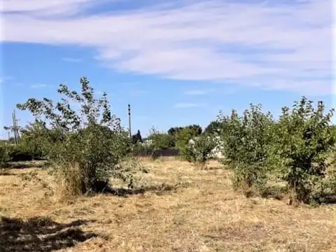 Terreno en Venta en Centro Agricola El Pato, USD 28.000