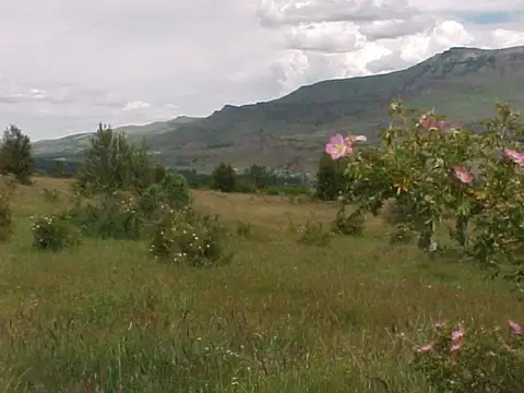 Terreno en Venta en San Martin de los Andes, USD 1.540.000