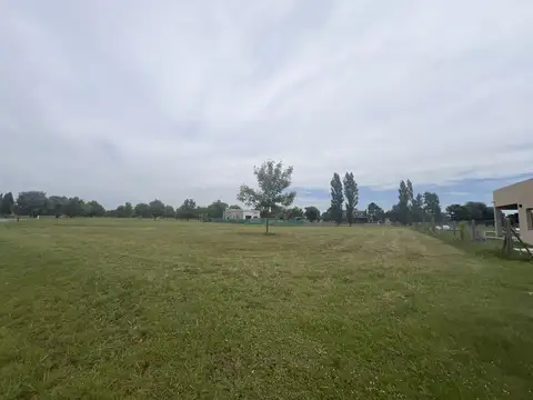 Terreno en Venta 40  mts Fondo