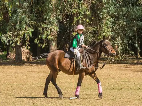 Terreno en Venta de 2104,0 m2