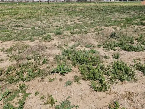 Terreno en Venta de 321,0 m2