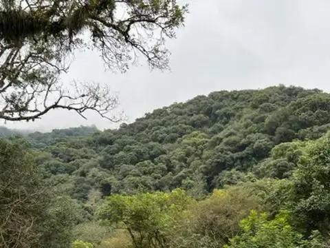 Terreno en Venta de 4200,0 m2