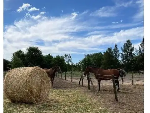 ruta 8 mojon 220 200