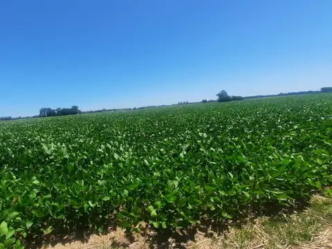Campo en Venta, 17,5 Ha, en Open Door, Lujan, Gba Oeste