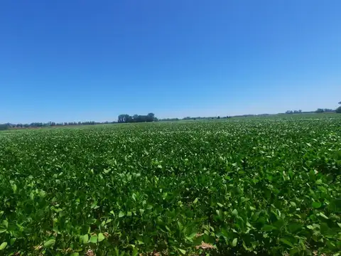 Campo en Venta, 17,5 Ha, en Open Door, Lujan, Gba Oeste