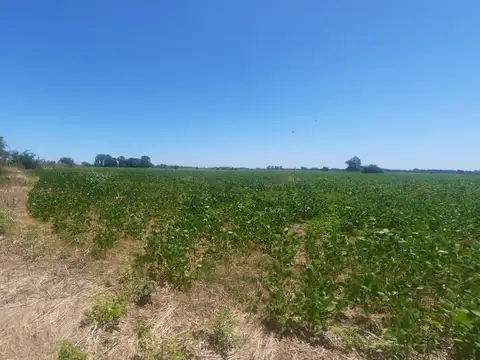 Campo en Venta, 17,5 Ha, en Open Door, Lujan, Gba Oeste