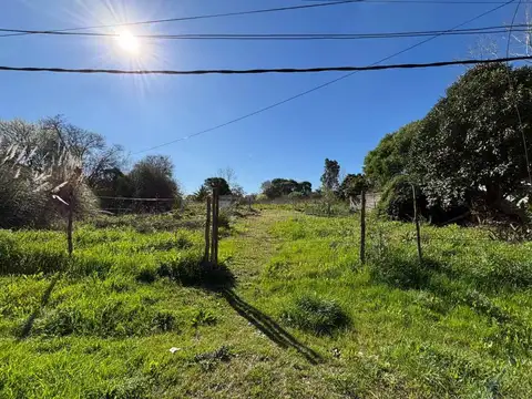 General Garibaldi 600