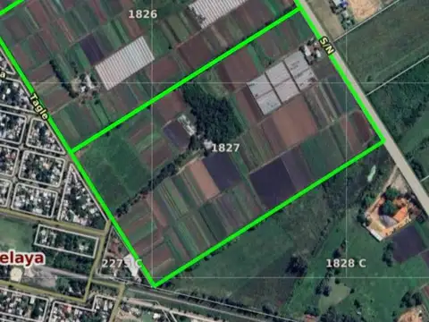 85 has. para Barrio Privado en Zelaya (en 3 parcelas)