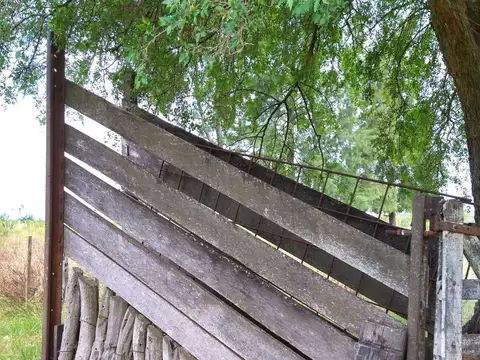 CAMPO APTO GANADERIA / AGRICULTURA/ FORESTACIÓN