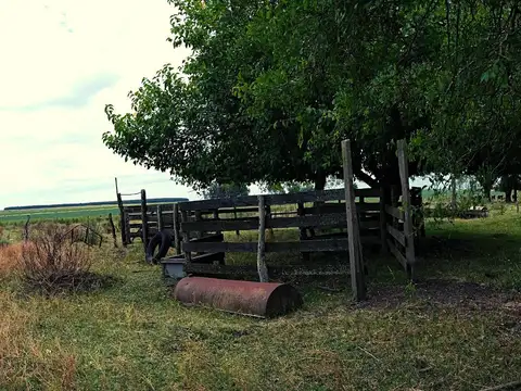 CAMPO APTO GANADERIA / AGRICULTURA/ FORESTACIÓN
