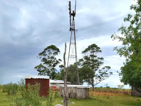 CAMPO APTO GANADERIA / AGRICULTURA/ FORESTACIÓN