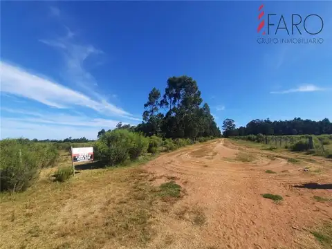 Campo en Venta de 10  ha