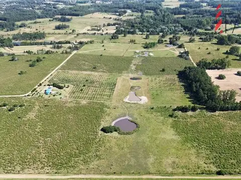 Campo en Venta Chacra