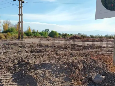 Julio A Roca s/n , Piso 0