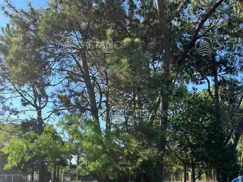 Terreno en venta Punta del Este